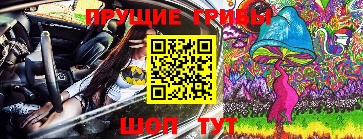 наркота  Галлюциногенные грибы Cubensis  Вход с VPN  Реж 