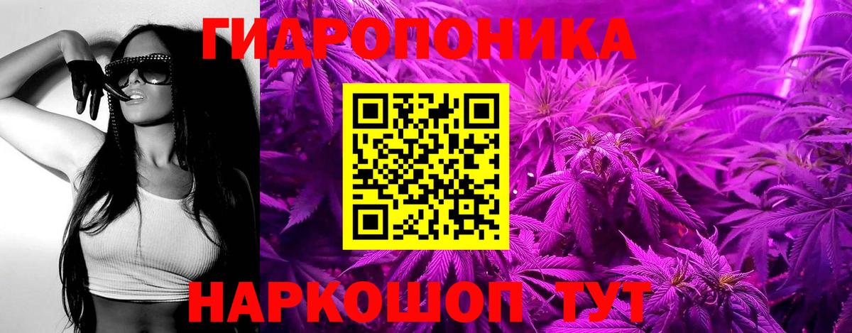 Бошки Шишки планчик Реж